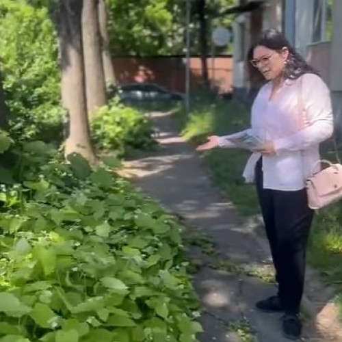 Echipele de campanie străbat cartierele Satu Mare în căutarea alegătorilor - Buruieni ca o amenințare în Micro 15!