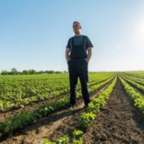 Încălzirea globală schimbă agricultura în România: culturi noi ca goji, kiwi și fistic se adaptează perfect la condițiile meteorologice din țară