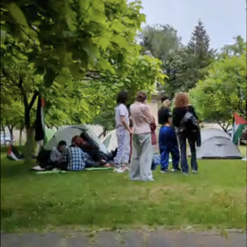 Protest pașnic al activiștilor în sprijinul Palestinei, în campusul Universității București