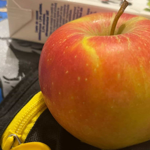 Merele, fructul sănătății și longevității. Studii recente arată că poate reduce colesterolul și îmbunătăți sănătatea inimii.