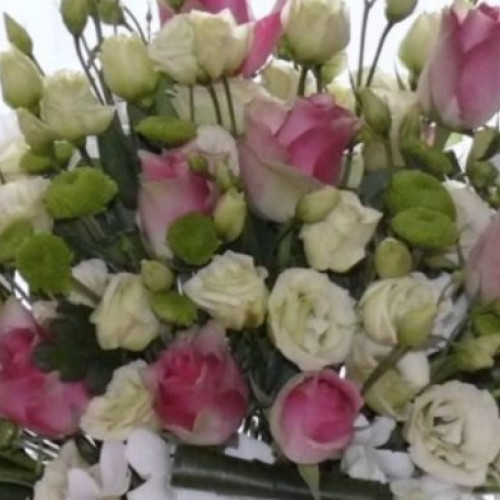 Nereguli la florari, pompe funebre și comerțul cu animale de companie în Vrancea: Rezultatele ultimei campanii de verificare a muncii