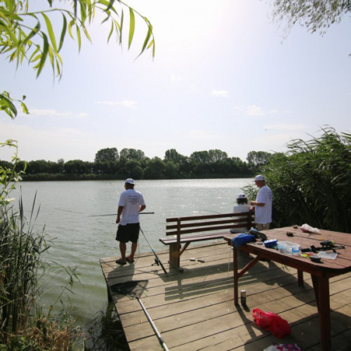 Concurs Național de Pescuit pentru Nevăzători la Balta Zătun, organizat de CJ Galați - 23 Mai 2024