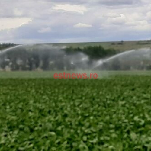 Cea mai mare suprafață agricolă din 1990 până în prezent se irigă în județul Vaslui