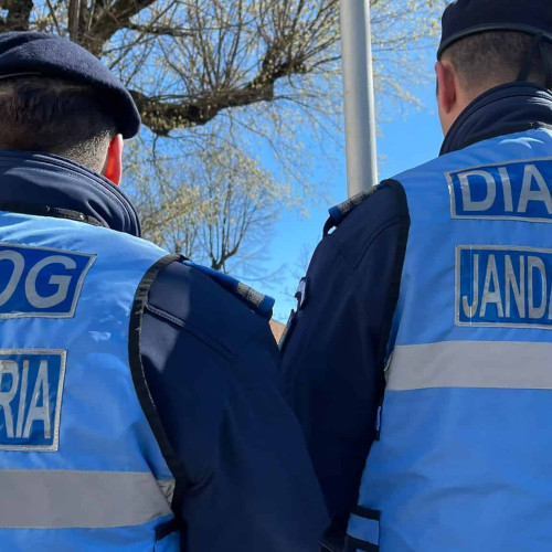 Bugetarii din instituțiile județene manifestă împotriva inechităților salariale la București.