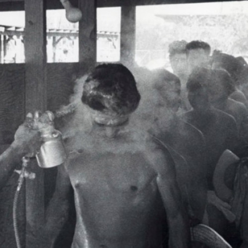 Muncitorii erau dezbrăcați și stropiți cu insecticid. Chinul prin care au trecut milioane de imigranți veniți la muncă în SUA