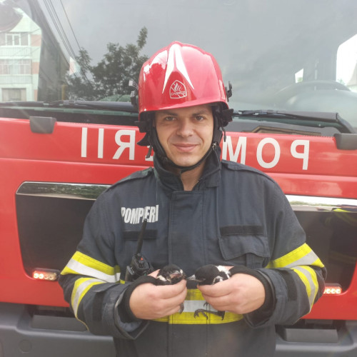 Pompierii gălățeni au salvat doi pui de coțofană în ultimul moment