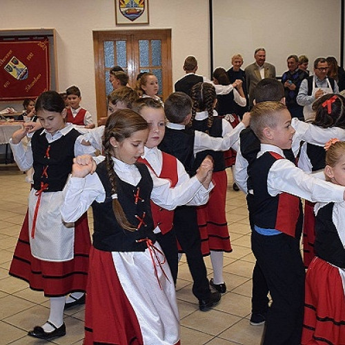 Zile de sărbătoare culturală la Satu Mare și Ardud: evenimentul "Zile Culturale Germane