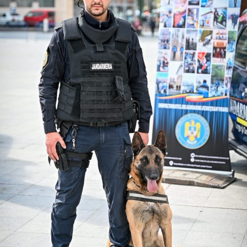 Misiuni ale jandarmilor vrânceni la sfârșit de săptămână