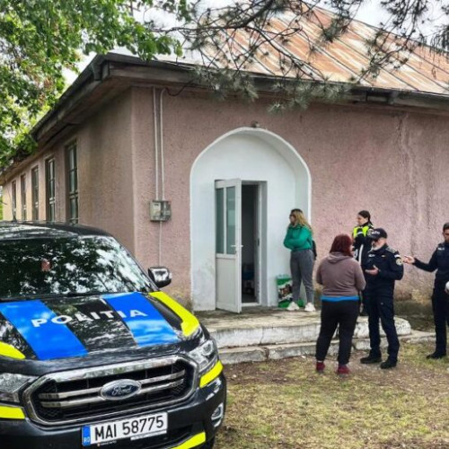 Amenzile pentru primăriile din Vrancea care încalcă legea privind câinii fără stăpân