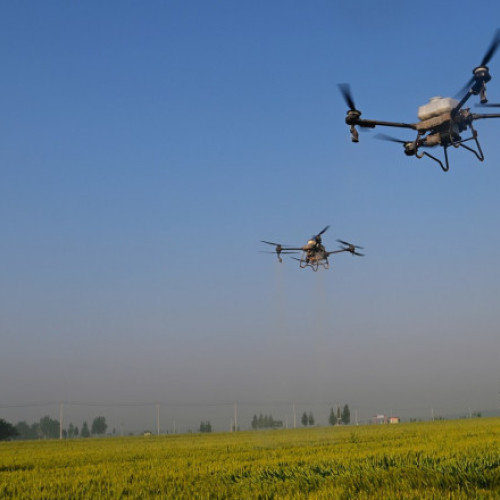 România dezvoltă drone pentru agricultură și armată în parteneriat cu companiile americane și din cadrul Romarm, cu sprijinul instituțiilor de cercetare