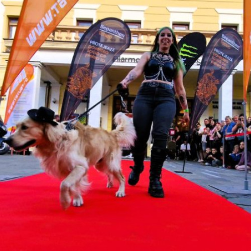 Sibiu: Peste 200 de iubitori de animale şi tatuaje au participat la prima paradă a căţeilor în cadrul Transilvania Tattoo Expo