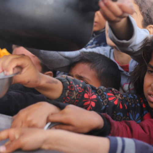 Declararea oficial a foametei în Fâșia Gaza de organizațiile pentru drepturile omului