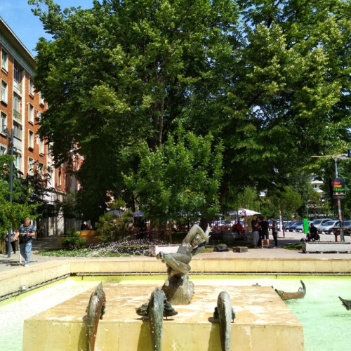 Pericole în centrul orașului din cauza crengilor fragiluri și a copacilor uscați: Incident în zona fosta Romarta aduce îngrijorare