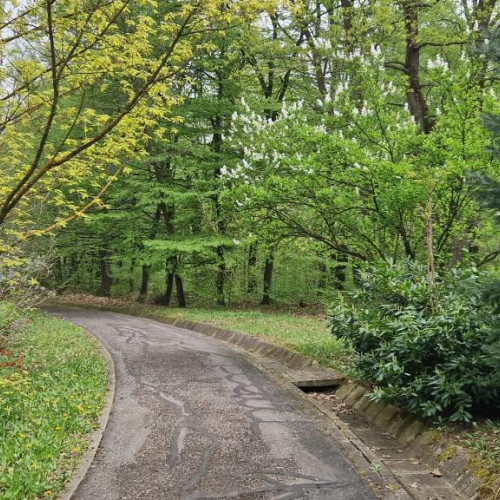 Preluarea zilelor libere în 2024 - Minivacanțe următoare și modalitatea de recuperare a zilelor acordate în plus