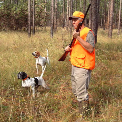 Recomandare de asigurare pentru vânători: AGVPS îndeamnă la încheierea de polițe de asigurare