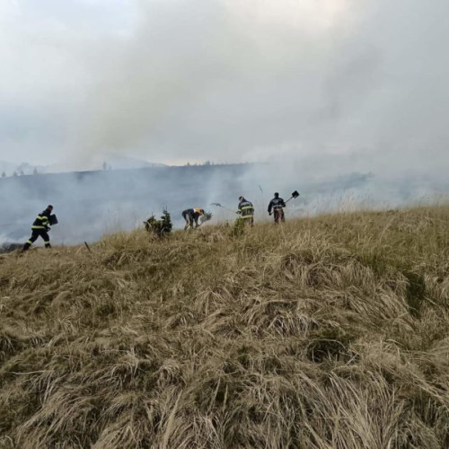 Puternic incendiu de vegetație în zona Mocear, pericol de propagare la pădure, acționat de echipajele de intervenție din Toplița