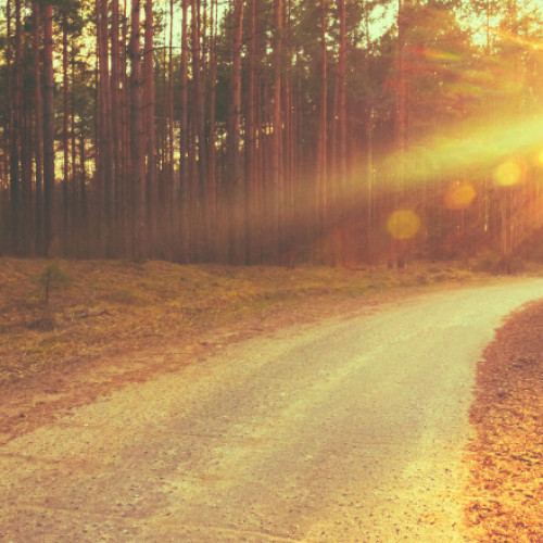 Avertizare de Caniculă în Finlanda: Populația trebuie să se protejeze de Temperaturile Ridicate în Luna Mai