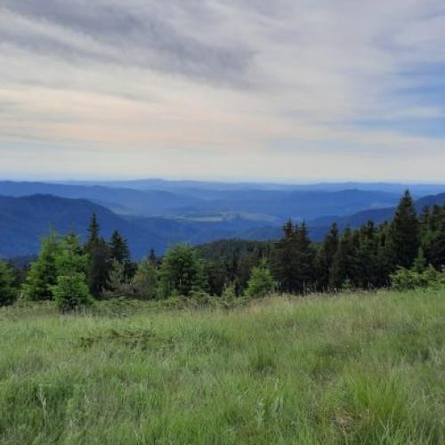 Salvamontiștii intervin pentru a salva o persoană căzută cu ATV-ul în timp ce circula pe un drum forestier.