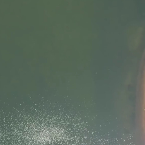 Primaria Sectorului 2 organizează concurs pentru amenajarea coridorului verde Colentina, de-a lungul celor şase lacuri aflate în raza acestei unităţi administrative. Concursul are ca scop selectarea celor mai bune trei soluţii pentru proiectarea serviciilor de amenajare a lacurilor Colentinei, în Sectorul 2 al Bucureştiului. Documentaţia de concurs poate fi descărcată de pe site-ul primăriei şi se pot face înscrieri online până la data de 5 septembrie, potrivit Primarului Sectorului 2, Radu Mihaiu.