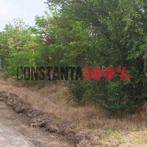 Raja SA Furnizează Apă După Un Program Stabilit În Satul Furnica, Dumbrăveni