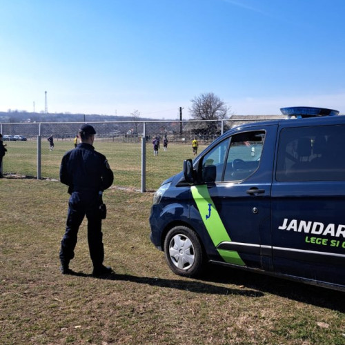 Jandarmii au intervenit în Cotești pentru un urs, dar nu au avut succes