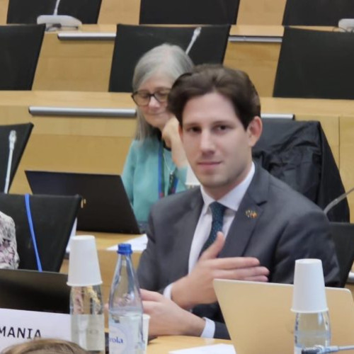 Preşedintele ANPDCA, ales membru în Comitetul Director pentru Drepturile Copilului al Consiliului Europei