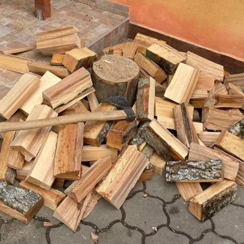 Pădurarul din Alba a pus un bărbat să taie ilegal copaci și este condamnat de judecătorii din Blaj