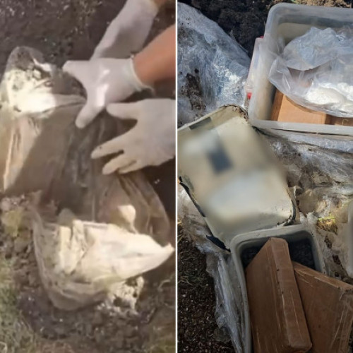 Descoperirea șocantă a celor 3 traficanți de droguri din Giurgiu: 14 kilograme de cocaină ascunse în curtea casei. 1 milion de euro în valoare de stupefiante găsite în pământ. Suspecții plasați sub arest preventiv