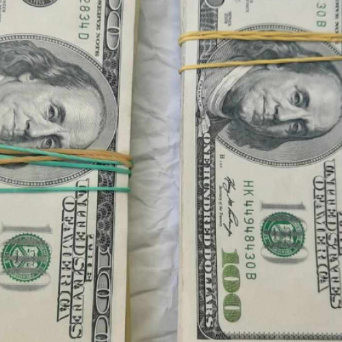 Mită uriașă în Portul Constanța. Ucrainean prins când dădea 20.000 de dolari vameșilor ca să aducă în țară încălțăminte contrafăcută