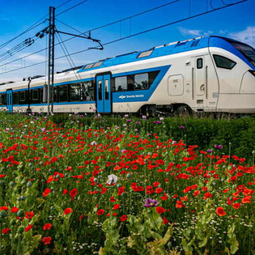 Cum să călătorești în trei țări europene și opt orașe cu doar 8 euro. Slovenia vine cu soluția pentru cei care caută o vacanță ieftină