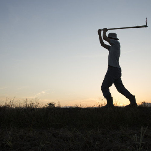 Românii muncesc cele mai multe ore, dar productivitatea e cu 30% sub cea din UE. "Când dai cu sapa nu te compari cu țările nordice"