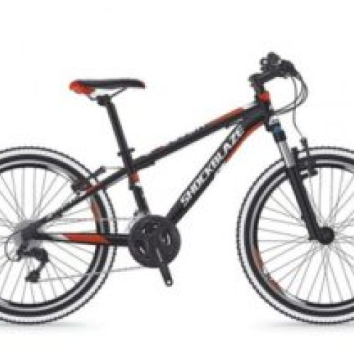 Astăzi este Ziua Bicicletelor, sărbătorită în Cristian