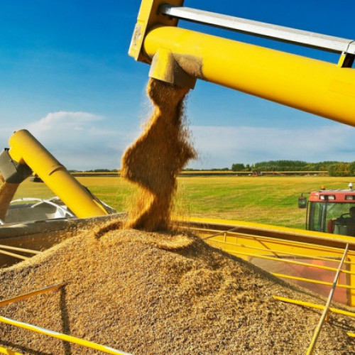 Rusia încetează vânzarea cerealelor pe piața europeană din cauza tarifelor impuse de UE