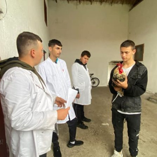 Porti Deschise la Liceul din Geoagiu - Ziua de Azi