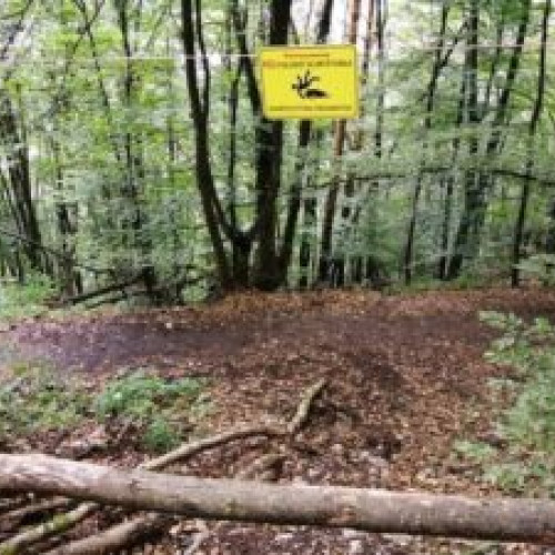 Sfaturi pentru traversarea Drumului Serpentinelor de la salvamontiști