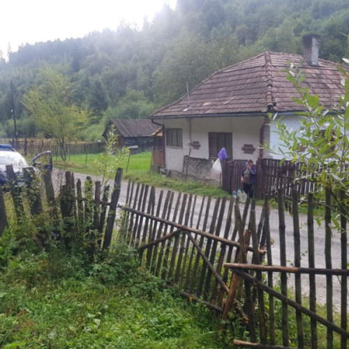 Jandarmii din Harghita chemaţi de 17 ori să izgonească urşii din aşezările locuite