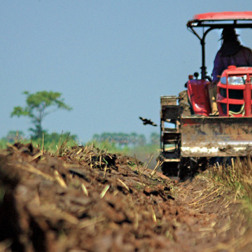 Romanii din Muraș și Harghita cer o subvenție pentru suprafață