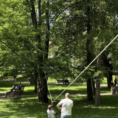 Sărbătorirea la Bistrița a Zilei Mondiale a Mediului, 5 iunie