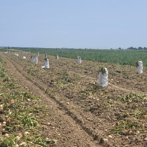 Director DAJ din Dâmbovița, alături de fermierii din Lungulețu pentru promovarea agriculturii sustenabile