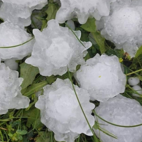 Furtuni Puternice în Iași: Mingi de Grindină ca Ping-Pong