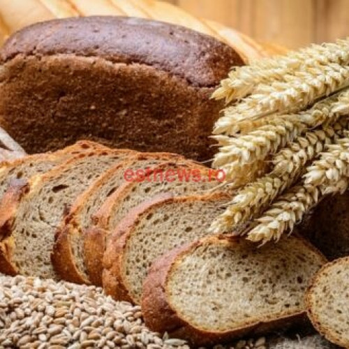 More șomaj preventiv solutions implemented in Vaslui County