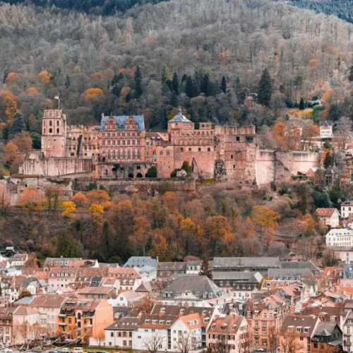 Asociația Georgiana Rusu va reprezenta România la Festivalul Carpato-Dunărean Heidelberg 2024