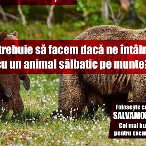 Sfaturi utile de la Salvamont în cazul întâlnirii cu animale sălbatice în munți