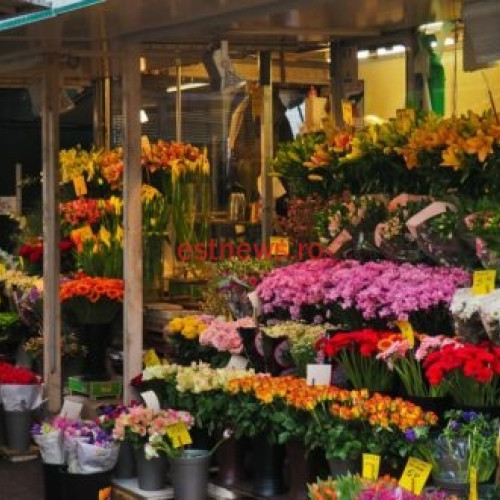 Angajatorii din servicii din Vaslui, amendati si avertizati de Inspecția Muncii