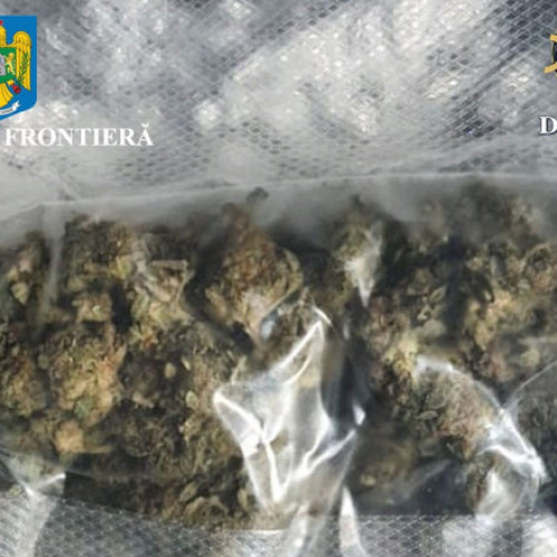 Galerie Foto Droguri ascunse la bateria mașinii. Un român a fost plasat în arest la domiciliu, după ce a fost prins cu canabis în Vama Borș