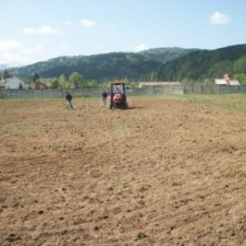 Termen prelungit pentru cererile unice de plată în agricultură
