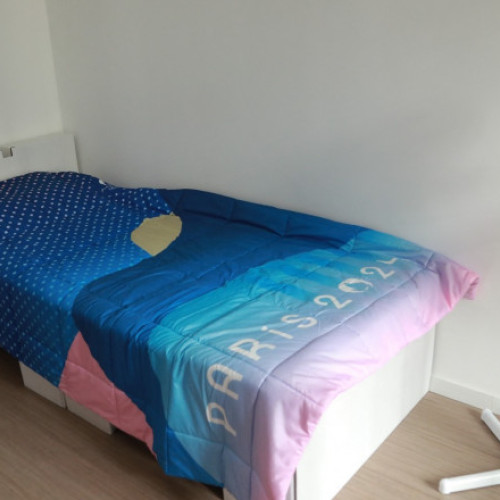 Planurile ecologice ale Jocurilor Olimpice din Paris, amenințate de aerul condiționat portabil