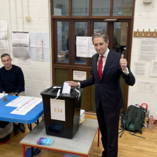 Alegerile locale și europene din Irlanda: Primele rezultate așteptate în weekend