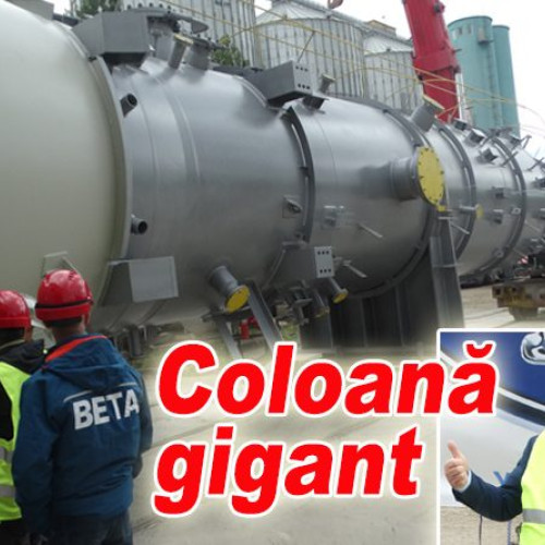 Realizări remarcabile ale firmei Beta Buzău