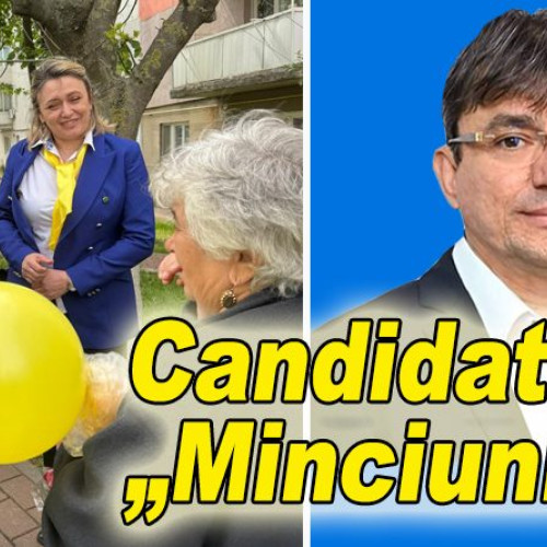 Viorel Holban, Acuzat că Minte Despre Afacerile Sale